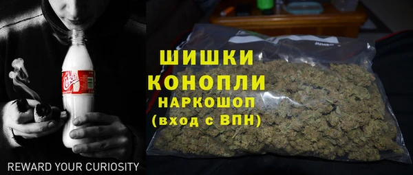 гидра Киреевск