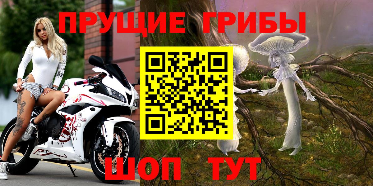 Галлюциногенные грибы Psilocybe  Маркс 