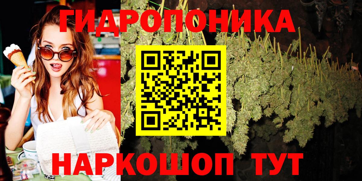 Шишки марихуана Bruce Banner  Каннабис сатива  Маркс  Вход с VPN  Шишки марихуана планчик 